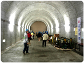 �_���ɍs������